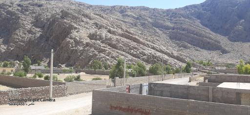 عکس خنگ اژدر