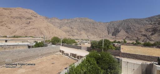 عکس خنگ اژدر