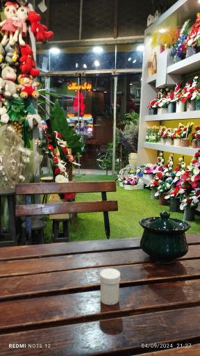 عکس گل کفشدوزک