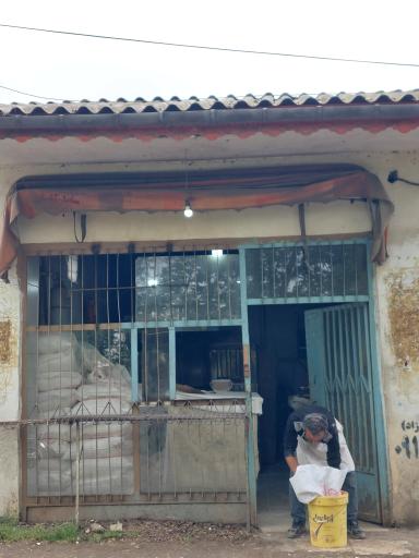 نانوایی بربری گل گندم