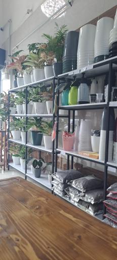 گل فروشی هیدرولند