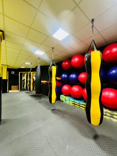 عکس باشگاه ستارگان