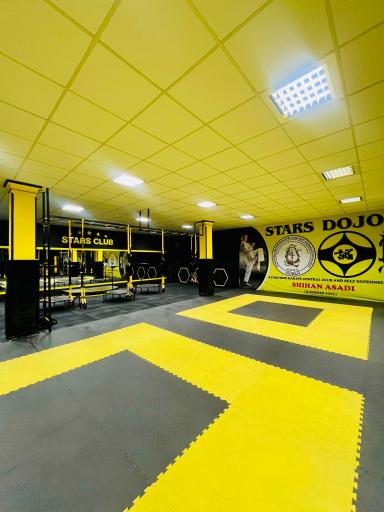 عکس باشگاه ستارگان