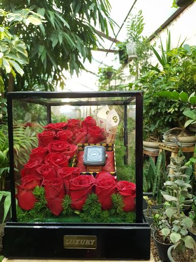 عکس گل کفشدوزک