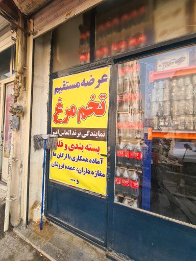 عکس بنکداری پازوکی 