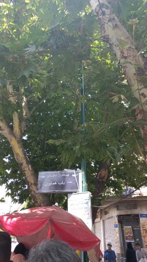 عکس ایستگاه ون الکتریکی 