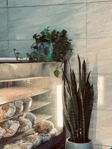 عکس نان ارم