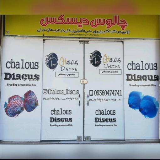 عکس چالوس دیسکس