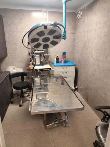 عکس بیمارستان دامپزشکی شبانه روزی هوما