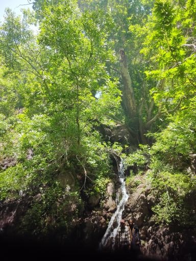 عکس آبشار ارزنه