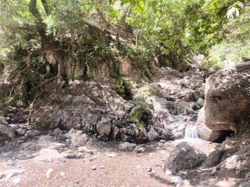 عکس آبشار ارزنه