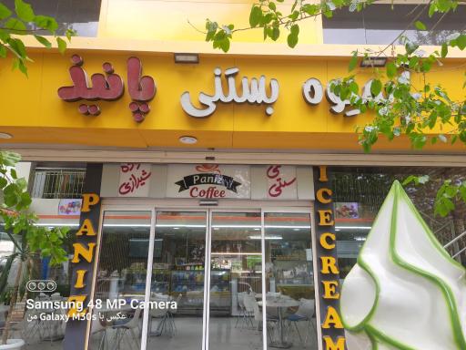عکس آبمیوه بستنی پانیذ