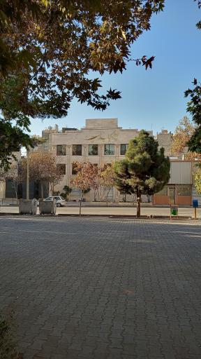 عکس چلوکباب امید