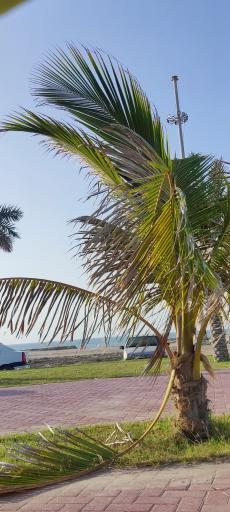 عکس ساحل سنگ سیاه