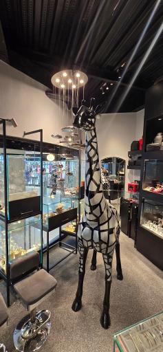 عکس تایم پلاس 