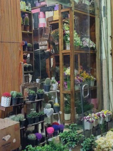 عکس گلفروشی بهار