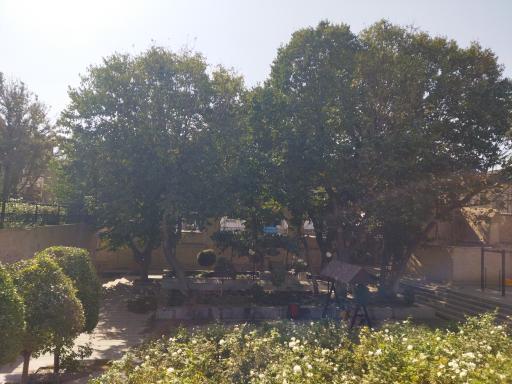 عکس بوستان امامزاده یحیی