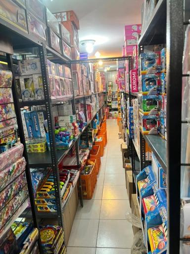 عکس پخش اسباب بازی رستمی 