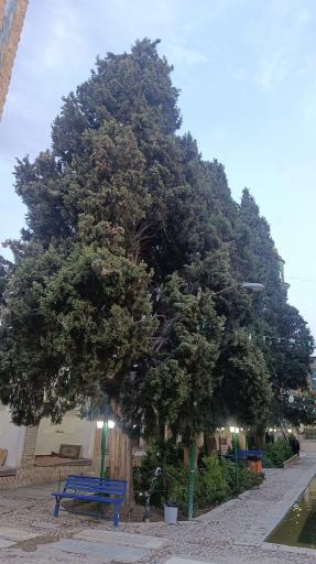 عکس آستان مبارکه شاهزاده ابراهیم (ع)