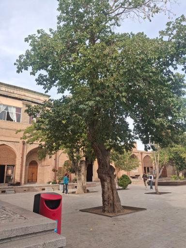عکس سرای سعدالسلطنه