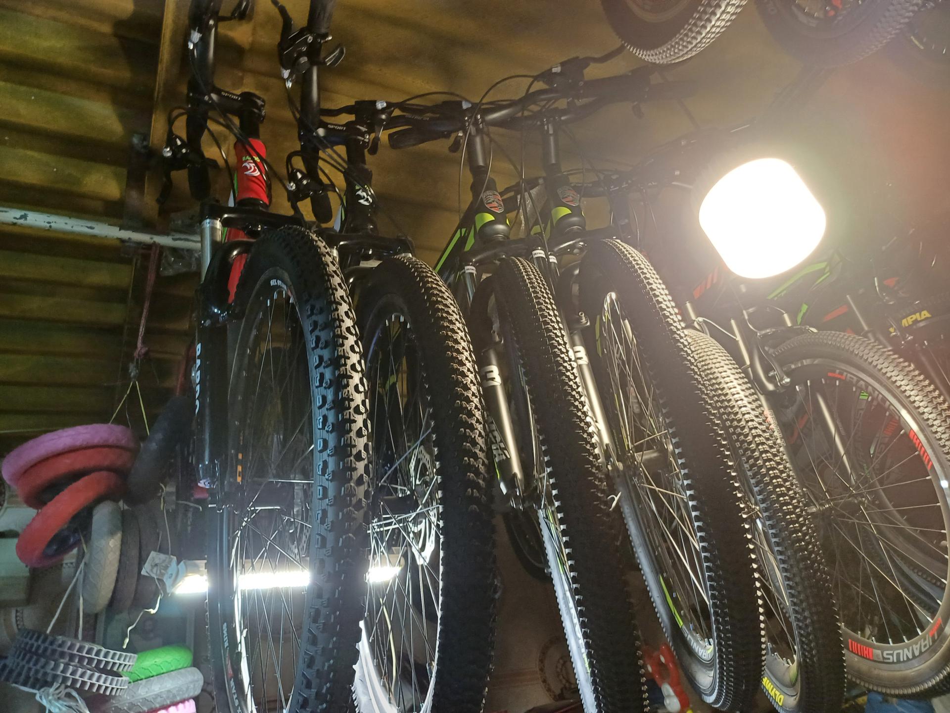 عکس دوچرخه امیر مشعوفی