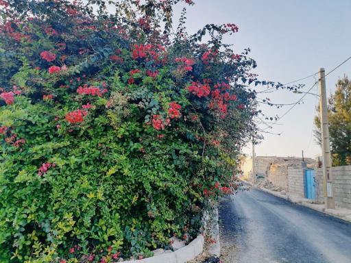 سیدحسین موسوی