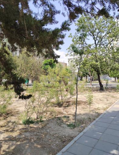 عکس بوستان آزاده