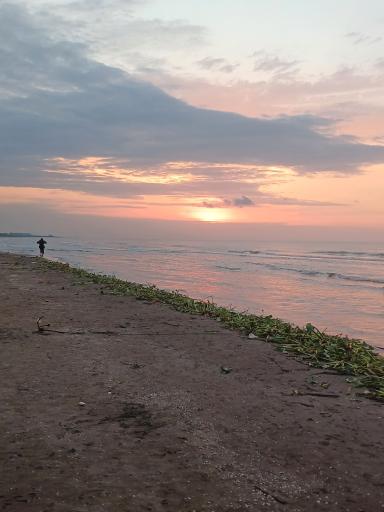 عکس ساحل دریایی مرمر (حسن رود)