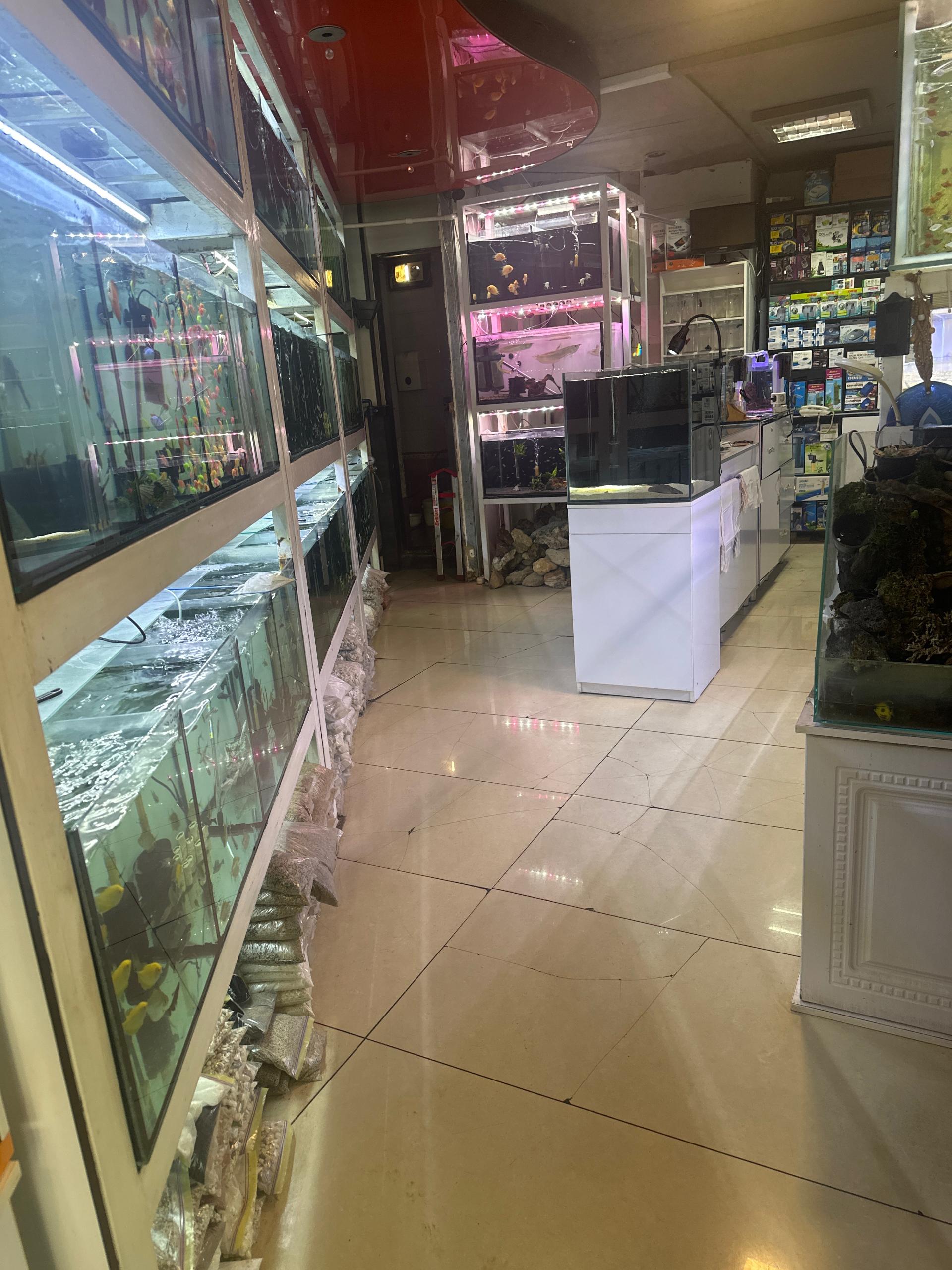 عکس آکواریوم