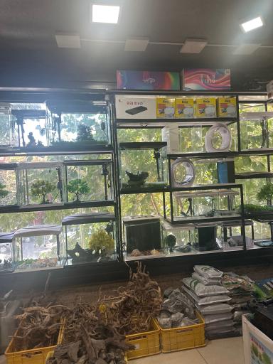 عکس آکواریوم