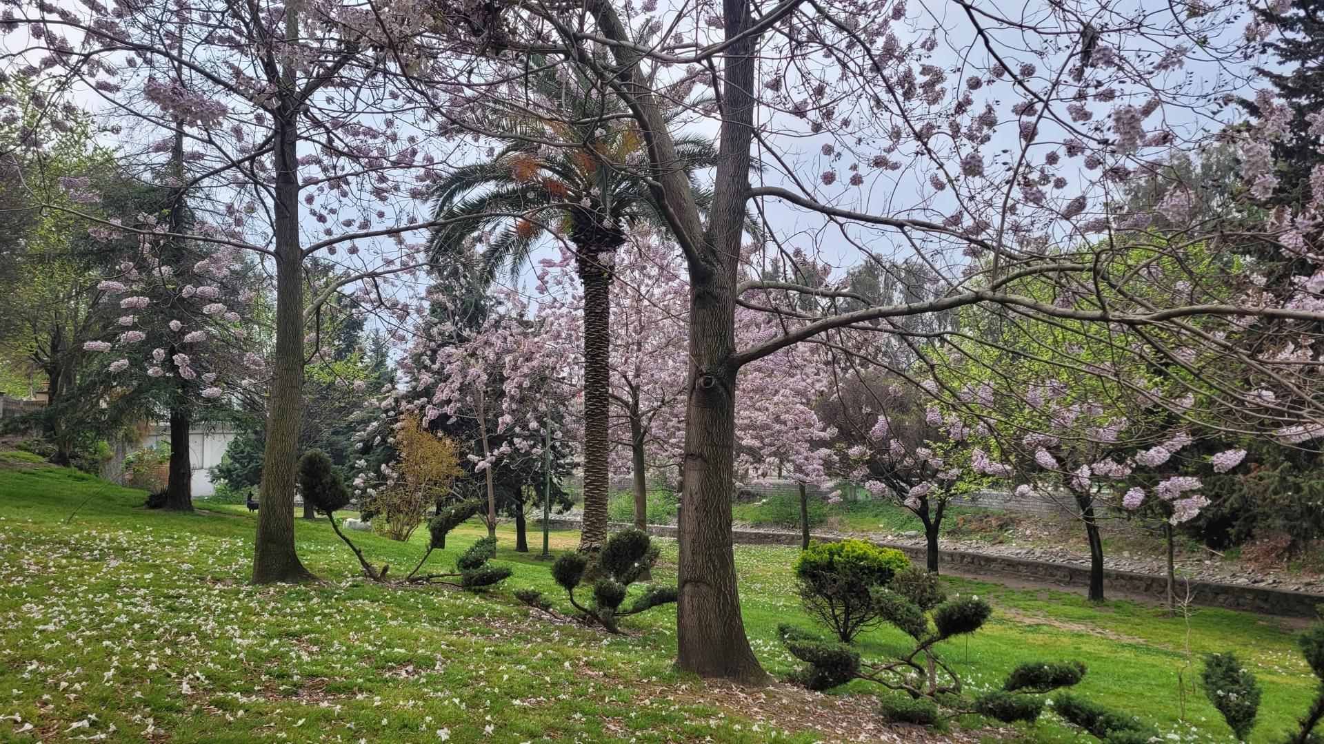 عکس پارک مهر