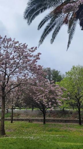 عکس پارک مهر