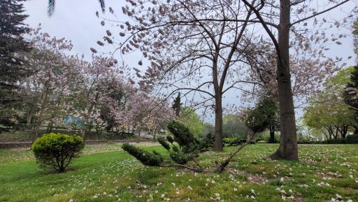 عکس پارک مهر