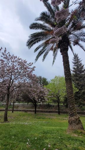 عکس پارک مهر