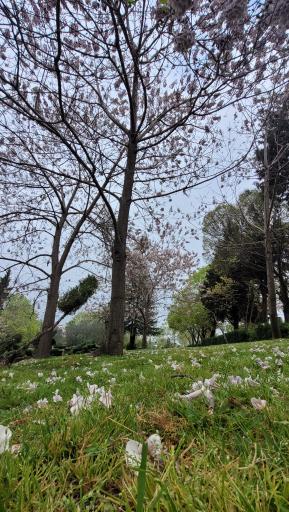 عکس پارک مهر