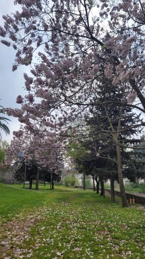 عکس پارک مهر