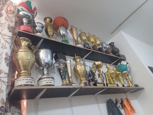 عکس مجموعه ورزشی سلامت آدریان