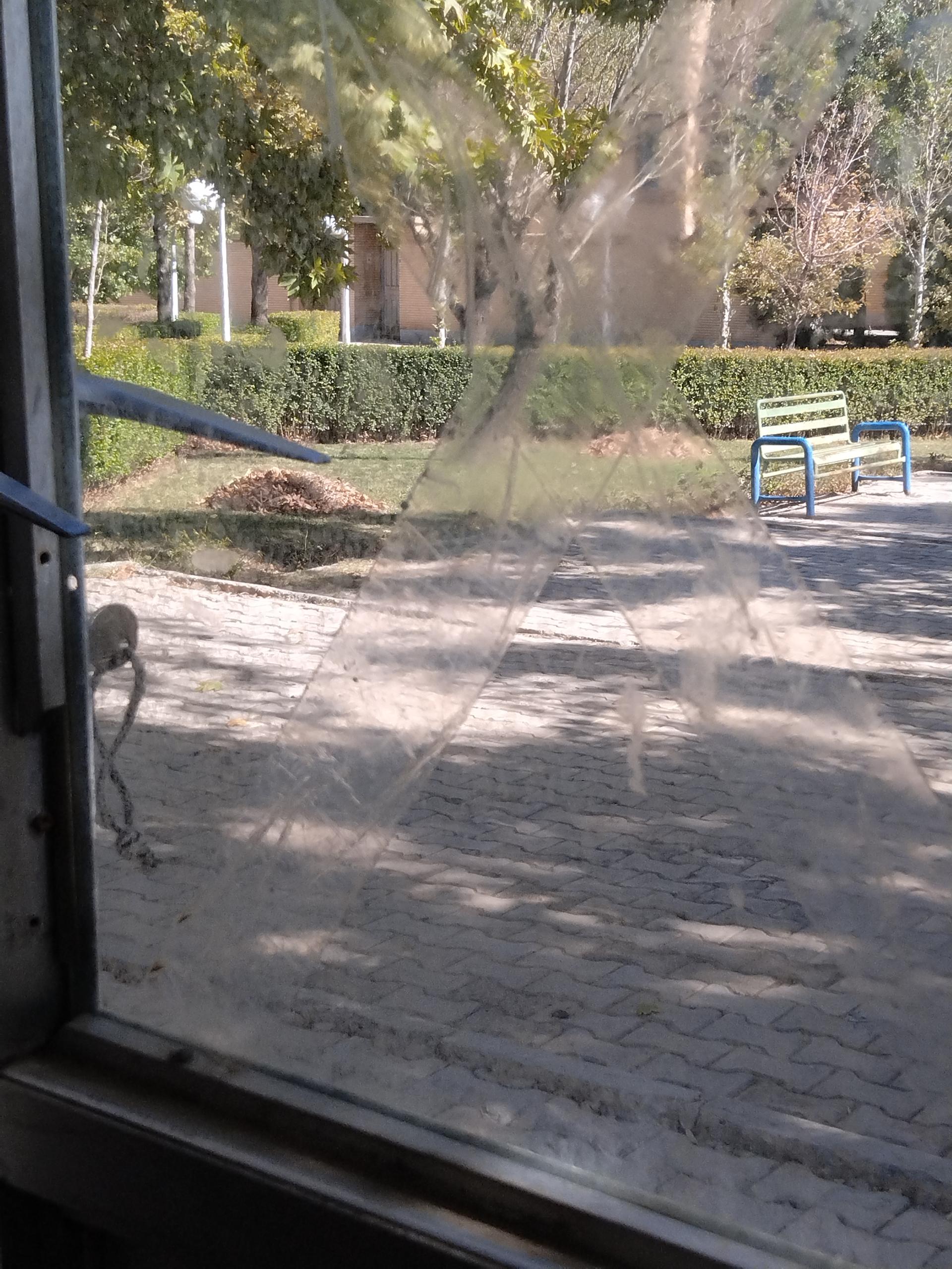 عکس بوستان میلاد