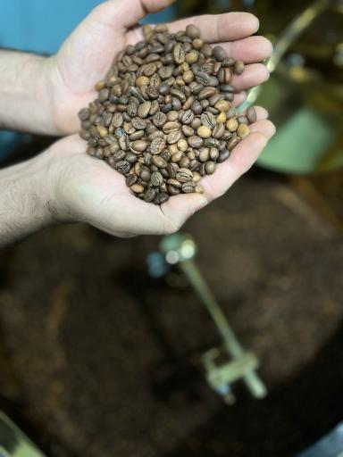 عکس برشته کاری قهوه هوکو