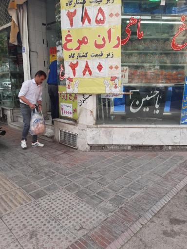 مرغ و ماهی هما