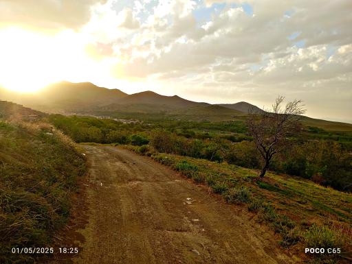 عکس بوستان الوند