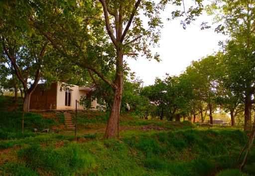 عکس بوستان الوند