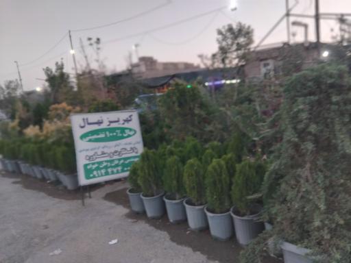 مجموعه گل و گیاه کهریز نهال