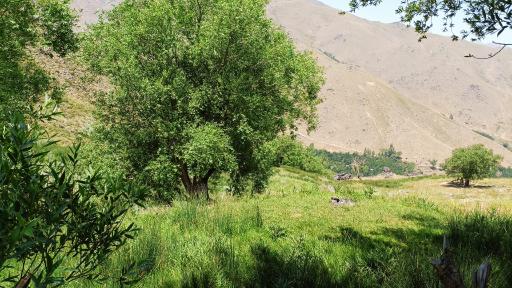 عکس دره مراد بیگ