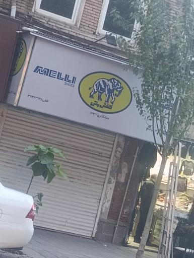 کفش ملی