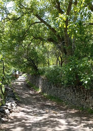 دره مراد بیگ