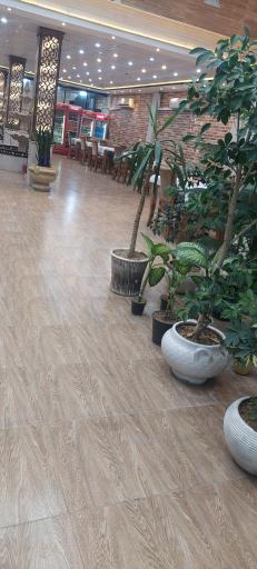 عکس رستوران و کافی شاپ بابا نعیم