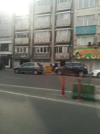 عکس میوه سید