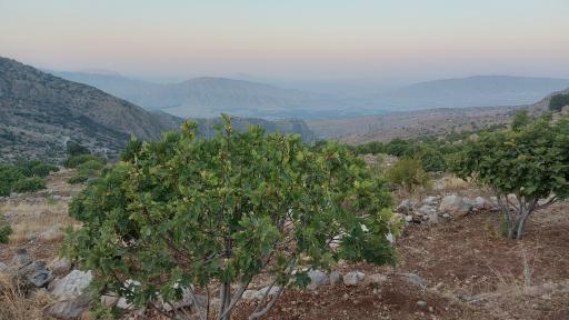 عکس اقامتگاه بومگردی سمغان
