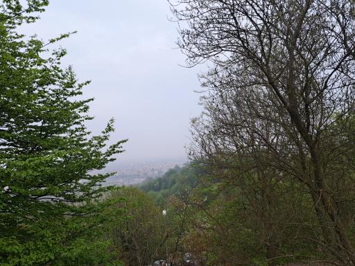 عکس پارک جنگلی سیاهداران